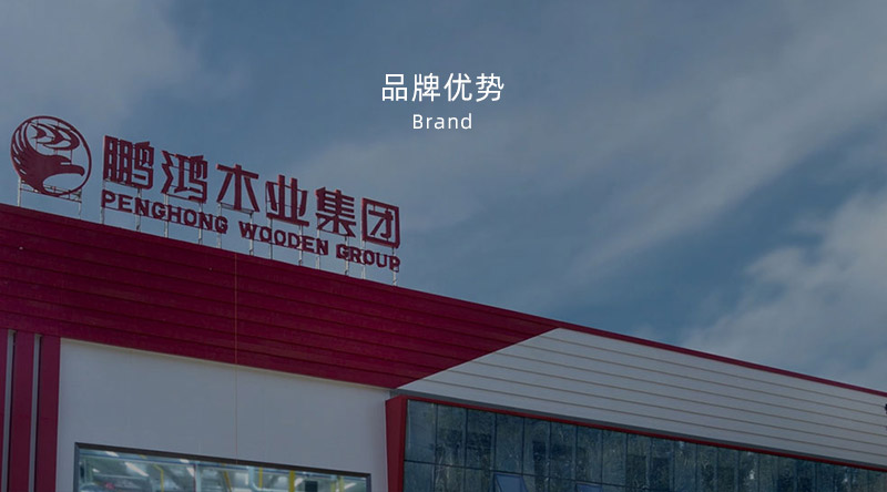 板材品牌、全屋定制品牌、生態(tài)板十大品牌